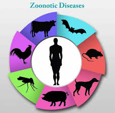 کتاب اپیدمیولوژی بیماری های رایج